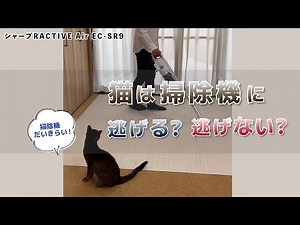 シャープ スティッククリーナー「RACTIVE Air EC SR9」猫は逃げないのか検証！｜Joshin 試用レポート