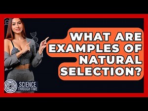What Are Examples Of Natural Selection? - Science Through Time