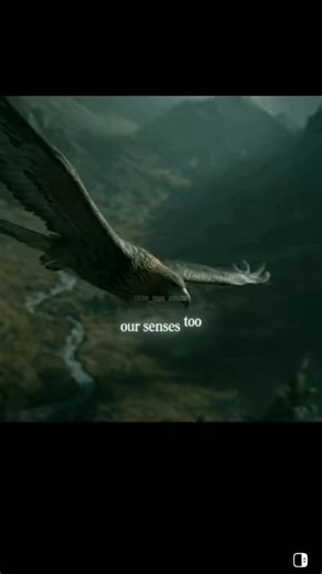 Humans Vs Nature Are we Truly the Strongest #documentary #humanbody #science #learningcampaign #nature | Julian Abbott