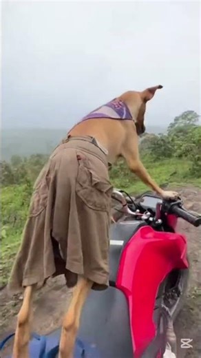 😂😂😂😂😂😂