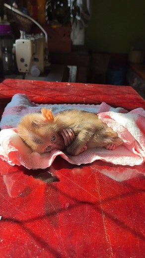 5.9K views · 157 reactions | Mom care baby | Mario Life's | Facebook