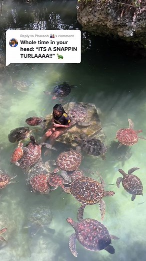 Swimming with Turtles in Zanzibar: An Unforgettable Experience