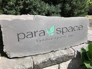 Who We Are | Para Space Landscape Maintenance