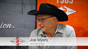 54 reactions | Welcome back to the 2022 Select Series! Tune in to learn about Select Sires Angus Breed Leaders - Balanced Trait Sires! | Select Sires Beef | Facebook