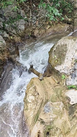 Water Fall #Environmental Science #nature #viral #viralvideo #ytshorts
