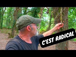 MA VIE DANS LES BOIS , MÉTHODE POUR SE DÉBARASSER DU LIERRE EN QUELQUES MINUTES !!!
