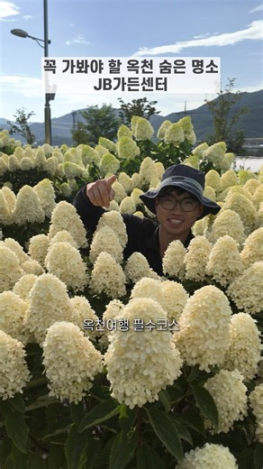 Photos don't do it justice: Visiting Okcheon Seedling Park, home to 30,000 hydrangeas