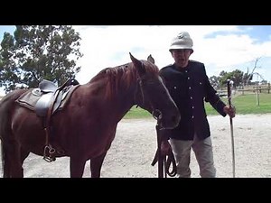 War Animal Remembrance Day. 24th February. Purple Poppy Day.