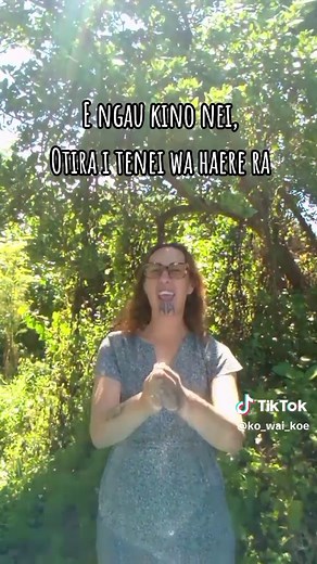 Te Hokowhitu TOA: The Brave Band of Tu