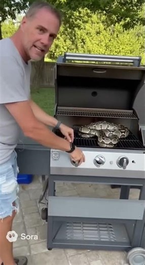 Man Opens His Grill — and Finds a Python Inside