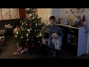 Weihnachten 2021 | Brieftauben.