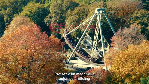 Profitez d'un magnifique automne à Efteling, le plus grand parc d'attractions et resort des Pays-Bas ! | Efteling - Parc d'attractions | Facebook