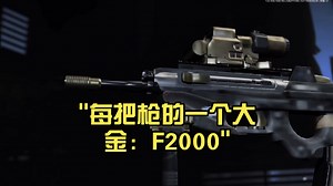 每把枪的一个大金：F2000