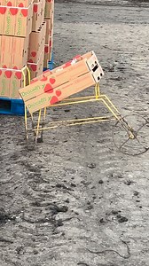 Cuando el compañero me presume su 4x 4 a todo terreno i el mío pura lastima | El compa Mike