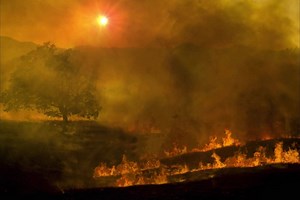 2.1K reactions · 254 shares | Climate change is threatening our homes and lands. You can be a force for nature by helping to protect and restore the ecosystems we depend on. | The Nature Conservancy | Facebook