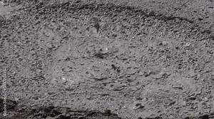 Boiling mud pools in Rincon de la Vieja National Park Costa Rica