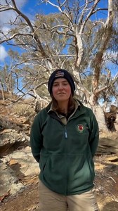It’s World Female Ranger Week! 🙋‍♀️🌿🥾 This week, along with the South Australian Ranger Association, we're shining a spotlight on the incredible women working as rangers and in conservation across South Australia. 💪 From protecting wildlife to restoring habitats, these women are out there every day making a difference - and breaking down barriers while they’re at it. Globally, women make up less than 11% of the ranger workforce, but that’s slowly changing. By celebrating their efforts throug