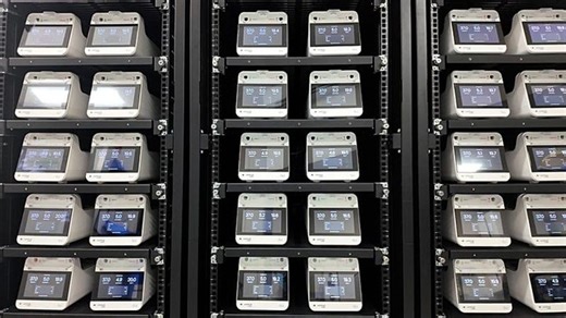 Can brain cells run computers? This startup powers data centre using human neurons | Haystack News