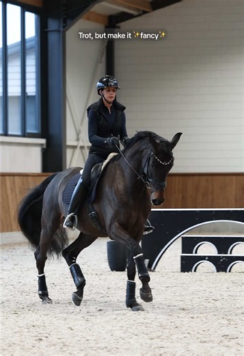 The Best Trot Techniques for Equestrian Sports