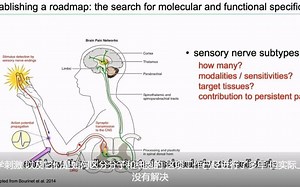 2021年诺贝尔生理学或医学奖得主David Julius疼痛研究讲座