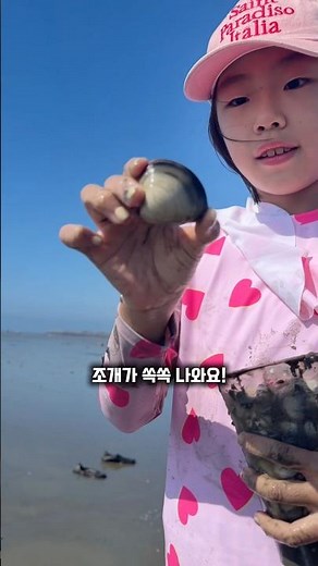 장비 없이 조개 잡는 방법?갯벌을 밟기만 했는데 조개가 올라와요😘 이번 주말 아이들과 꼭 가봐야 할 갯벌 체험 #갯벌체험 #조개잡이 #해루질