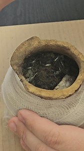 567K views · 4.9K reactions |  | DENAR Kalisz - Stowarzyszenie Poszukiwaczy Śladów Historii | Facebook