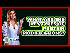 What Are The Key Types Of Protein Modifications?
