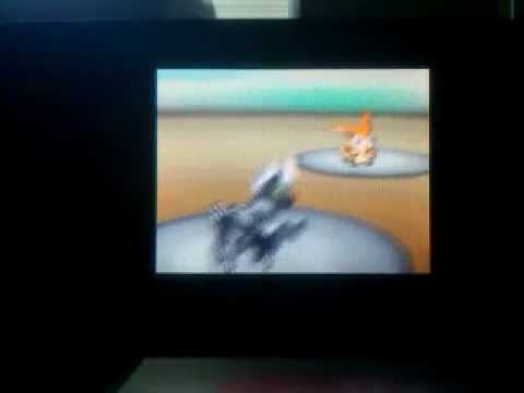 Pokemon Black & White ~How to get to Victini (Mystery Gift)~