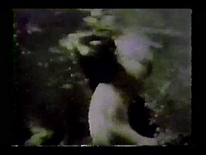 Sesame Street - otters on film