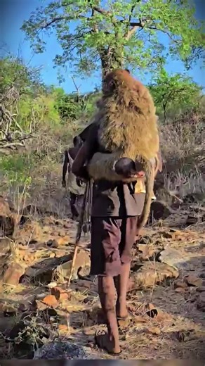 Primitive Tribe on TikTok