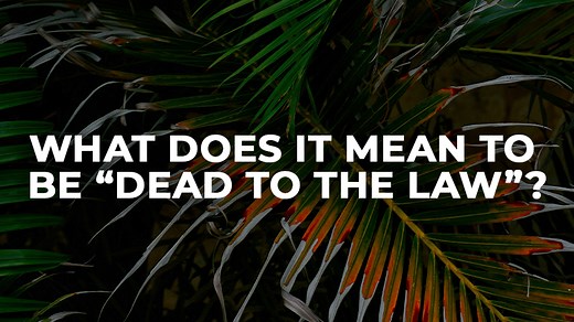What does it mean to be "dead to the Law"? - BibleQuestions.com
