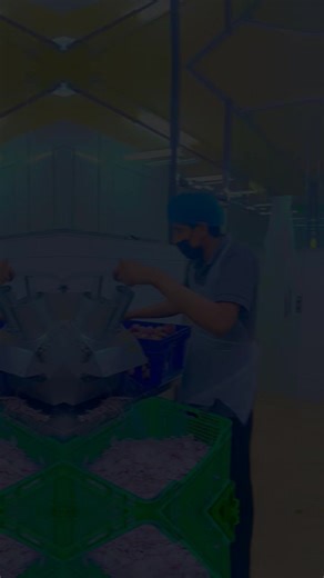 فيديوهات أنشأها Mohammed azhar (@mohammed.azhar046) باستخدام original sound - Aadi Malik