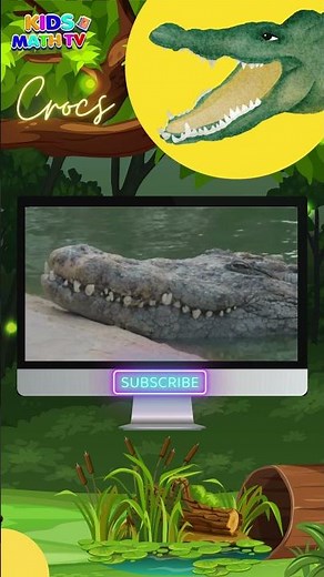 Fascinating Facts about Crocodiles