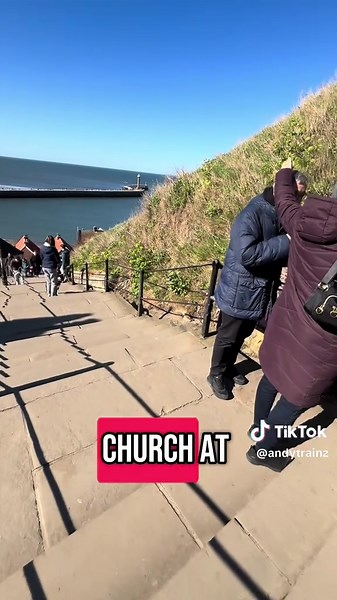 Andy Miller on TikTok