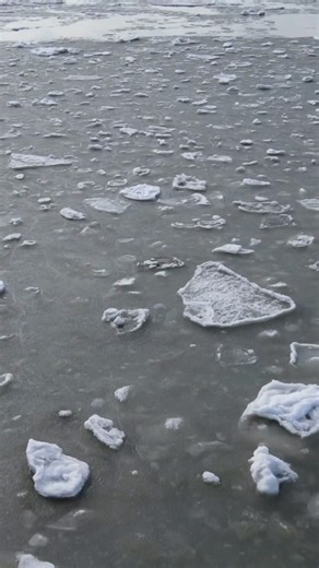 If South Jersey were in the Arctic (and featured on Nat Geo) Watch the full video here - https://wildwoodvideoarchive.com/seal-spotted-resting-on-iceberg-in-cape-may-canal/ | Wildwood Boardwalk