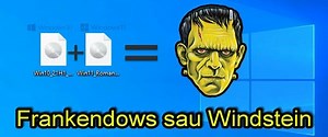 Windows 11 Frankenstein STICK universal compatibil compatibil orice PC