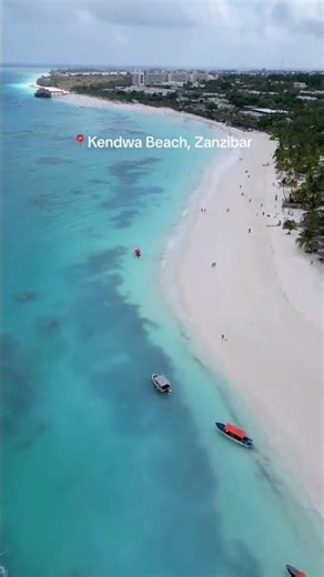 Reisen an Sansibars stränden🏝