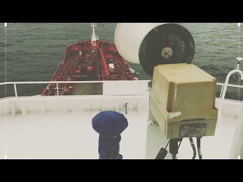 What does 7 short and 1 long blast of ship's horn means?