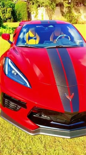 🔥 Custom Graphics That Wow