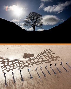 What a sight! Paying homage to the fallen giant 💔 | Love This