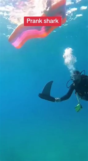 #shark #prank #fyp #trend #funny