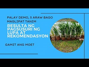 PAGSUSURI NG LUPA GAMIT ANG MOET (Minus One Element Technique)