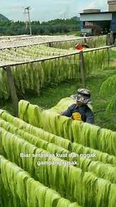 Bamboo to Shoes: The Craft of Sustainable Footwear!