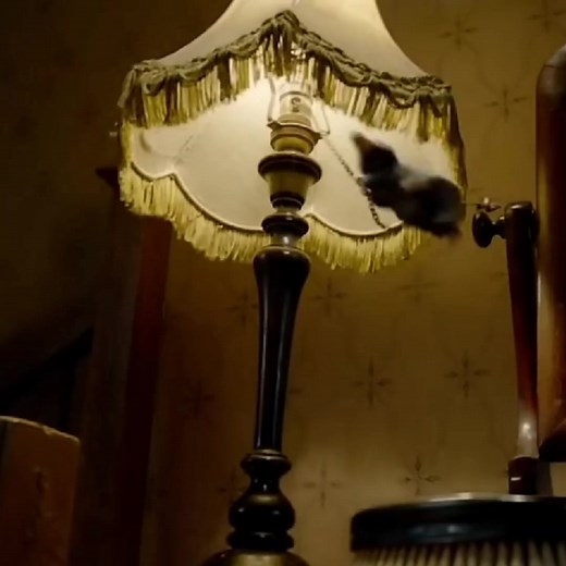 ファンタスティック・ビーストのニフラーをご紹介！