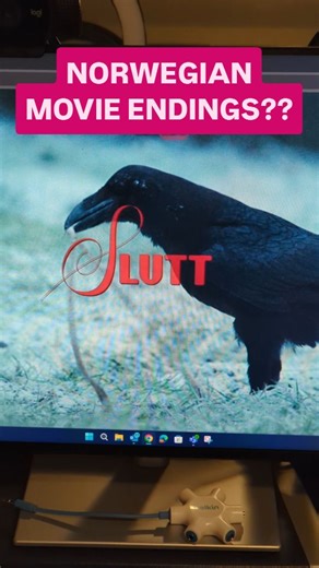 Senor Pequenos on Instagram: "MOVIE ENDINGS IN NORWEGIAN 😭😭 . . . #comedy #ending #omg #movies #lol"