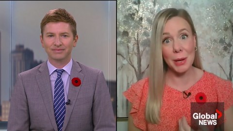 Global News Morning Halifax: November 2