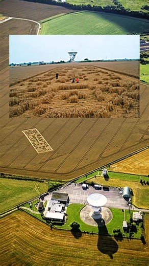 12 reactions · 4 comments | Explore the hidden truths about UFOs and UAPs in this compelling story. Discover insights into alien encounters and the latest news. #uap #ufo #storytime #uap #ufo #alien #aliens #conspiracytiktok #conspiracytheory #storytime #drone | Unfold Unheard | Facebook