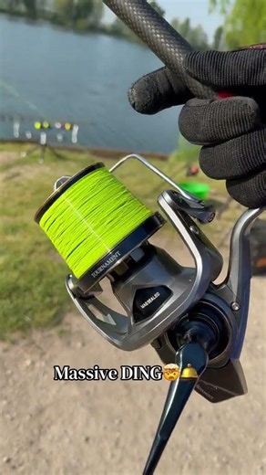 Massive DING 🤯🛎️ #casting #tuition #carp #shorts DDAWNG Fishing