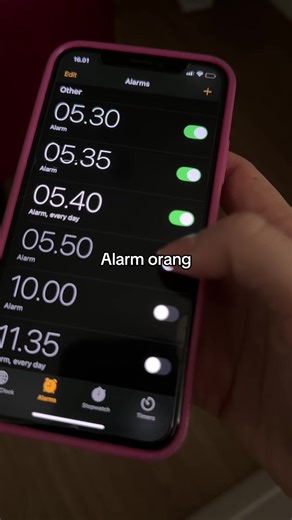 Apa itu alarm hp, MANUAL dong🙂 #kucinglucu #kucingtiktok #fyp