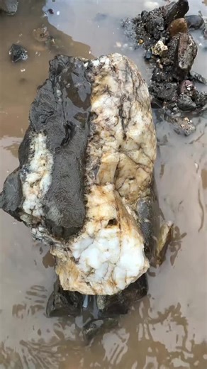 Gold Prospecting Tips for Beginners in 2026